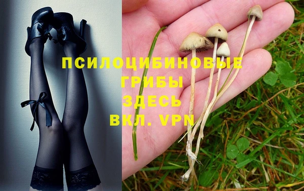 скорость Заволжск