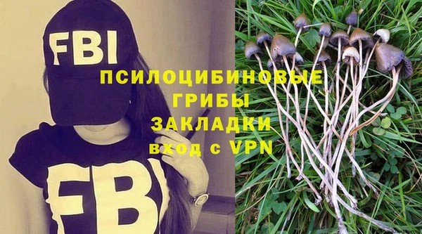 mdpv Заводоуковск