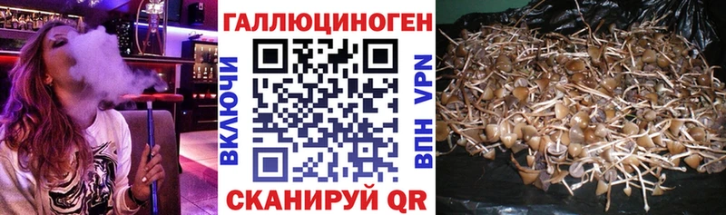 Купить  Шиханы  Галлюциногенные грибы ЛСД 